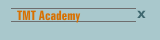 TMT Academy