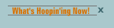 What's Hoopin'ing Now!