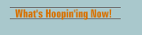 What's Hoopin'ing Now!